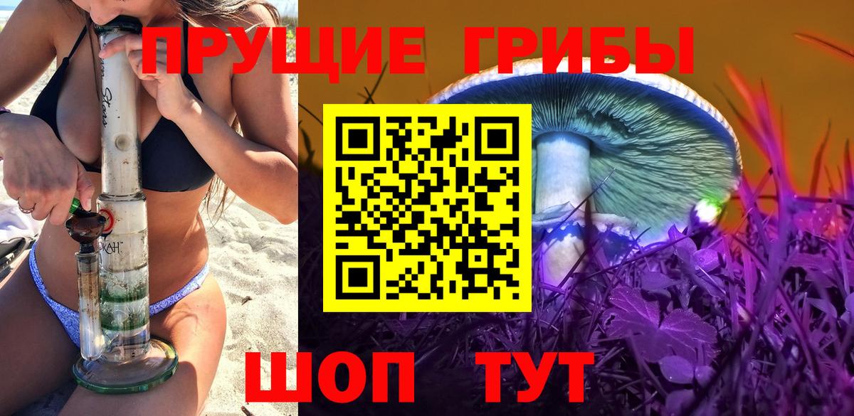 Галлюциногенные грибы Psilocybine cubensis Туапсе